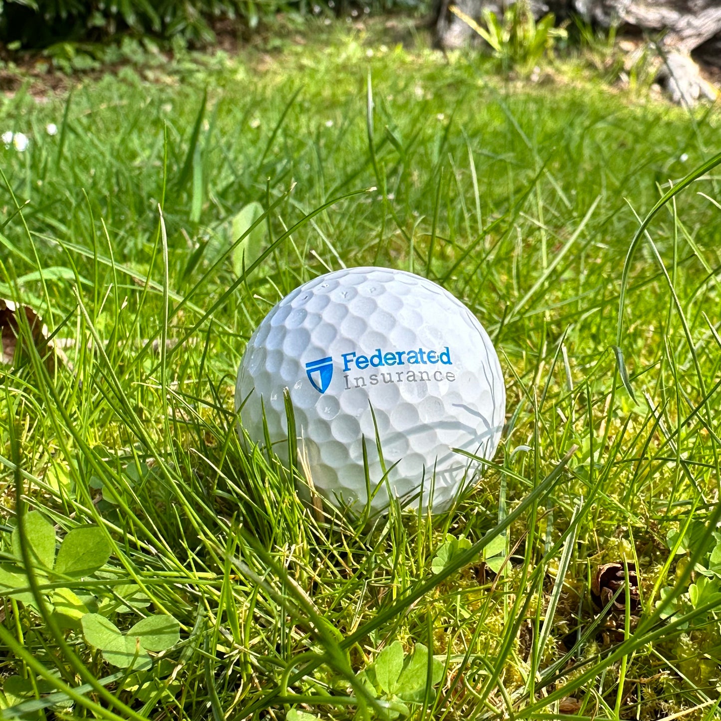 Fitleist Golf Balls - Federated Insurance